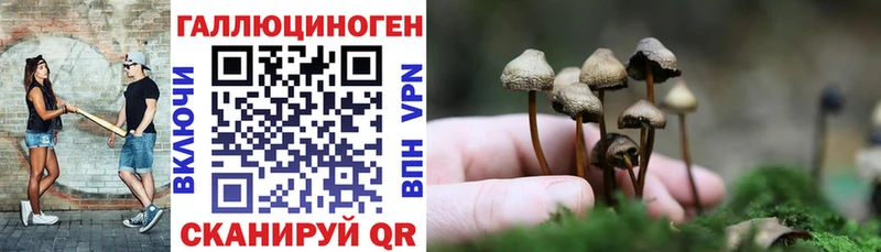 Псилоцибиновые грибы Psilocybine cubensis Нижние Серги